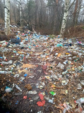 Юрьевец зарастает мусором